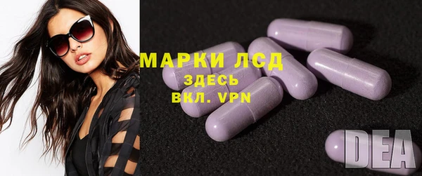 стаф Баксан