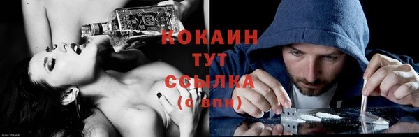 стаф Баксан