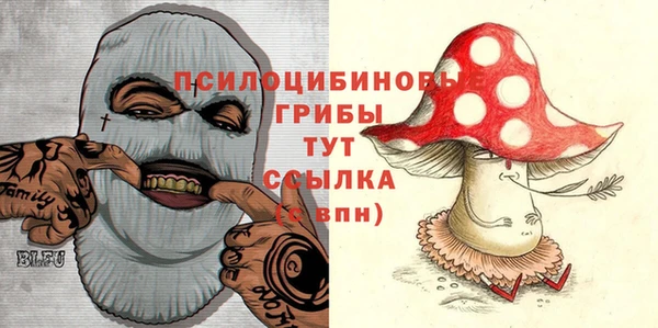 герыч Россошь
