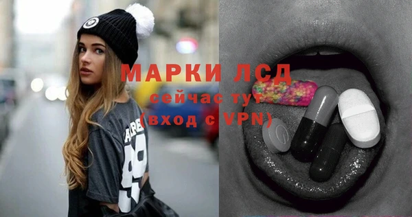 стаф Баксан