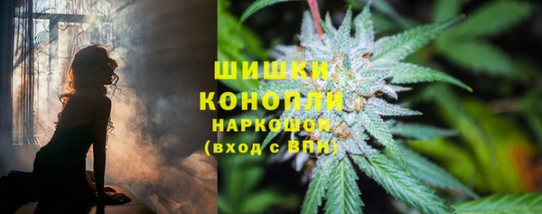ALPHA PVP Рославль